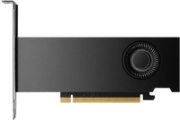 Scheda grafica PNY Nvidia RTX PRO 2000 Blackwell 16GB GDDR7 | VCNRTXPRO2000-SB