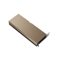 Scheda grafica PNY Nvidia Hopper 141GB GDDR7 | TCSH200NVLPCIE-PB