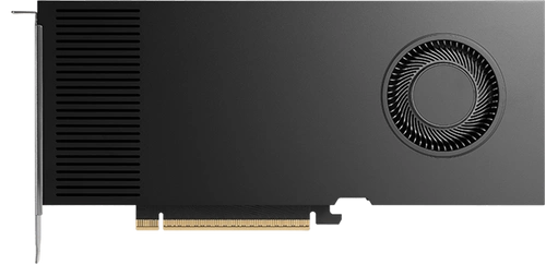 Scheda grafica PNY Nvidia RTX PRO 4000 Blackwell 24GB GDDR7 | VCNRTXPRO4000LP-SB