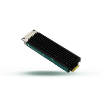 SSD disco Goodram DC10M 960GB E1.S NVMe PCIe 4.0 | GEDC10S100-960NS10B