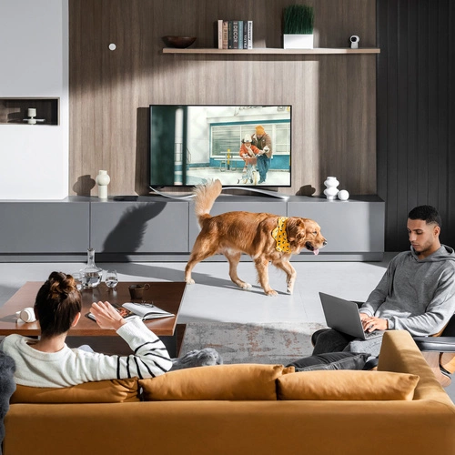 Sensore intelligente Aqara Presence Sensor FP2 | PS-S02D