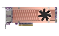 Scheda di espansione QNAP QM2-2P410G2T