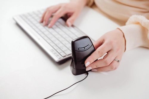 Senza fili topo Bakker Elkuizen DXT 3 BNEDXT3W