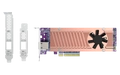 Scheda di espansione QNAP QM2-2P410G1T