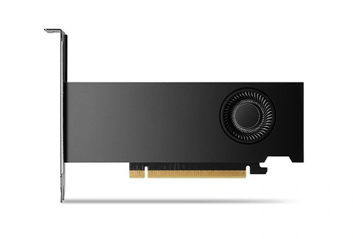 Scheda grafica Nvidia RTX 2000 Ada 16GB GDDR6 | 900-5G192-2541-000